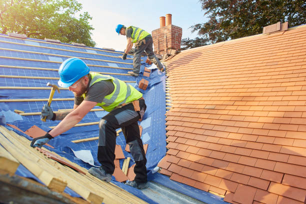 Best Sheet Metal Roofing  in Kirkwood, MO